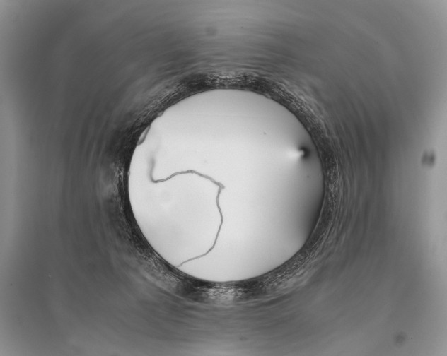 X0000094910225200712201204