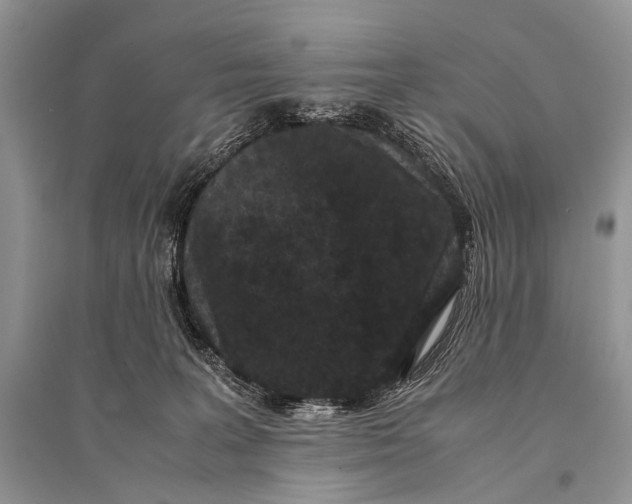 X0000094910227200712201204