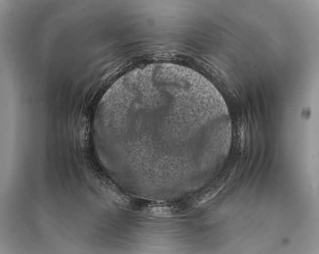 X0000094910228200712201204