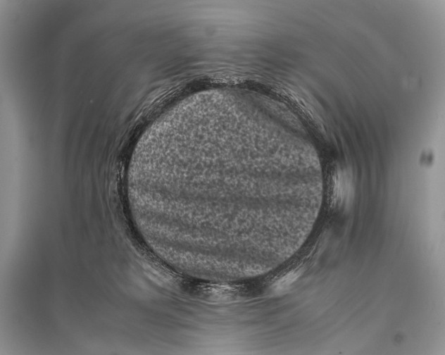 X0000094910229200712201204