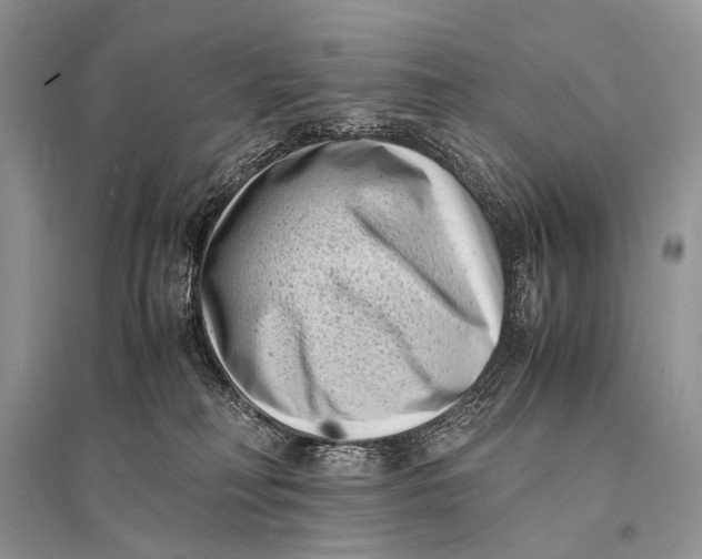 X0000094910230200712201204