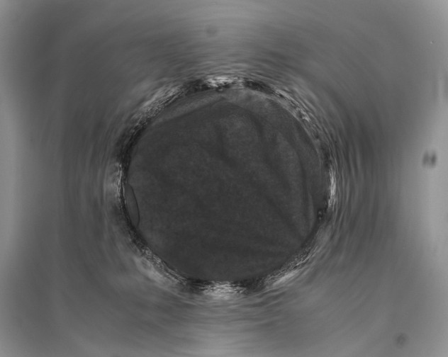 X0000094910231200712201204