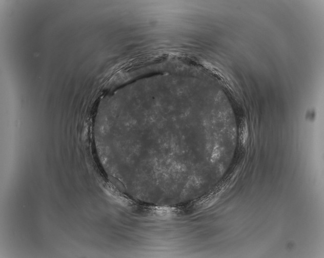 X0000094910233200712201204