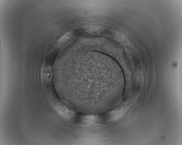 X0000094910237200712201204