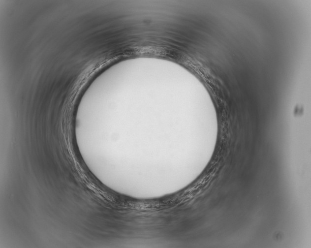 X0000094910241200712201204