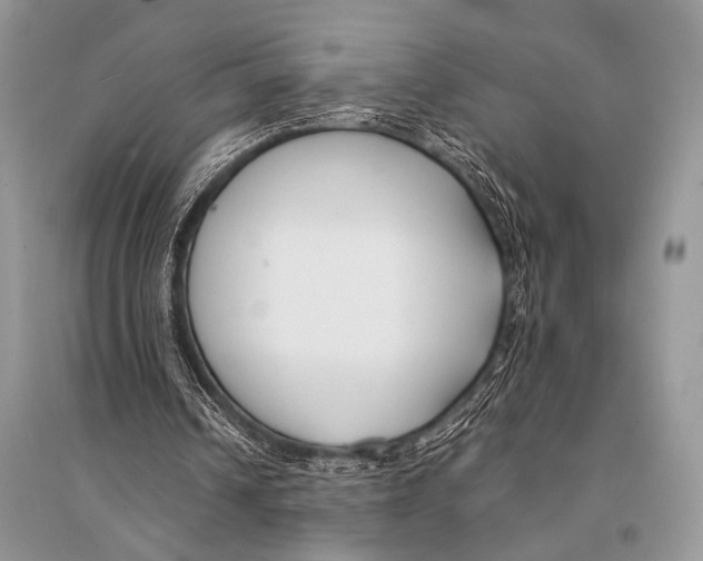 X0000094910242200712201204