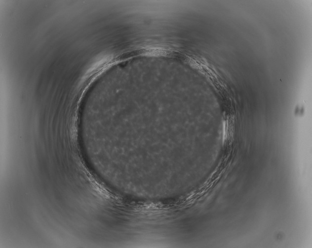 X0000094910243200712201204