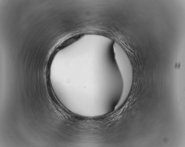 X0000094910244200712201204