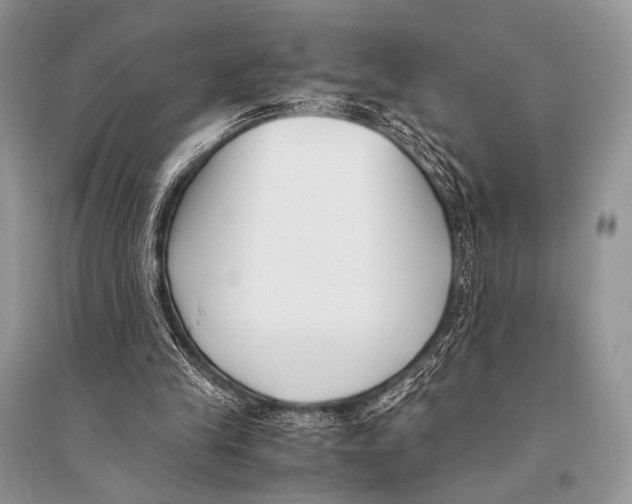 X0000094910245200712201204