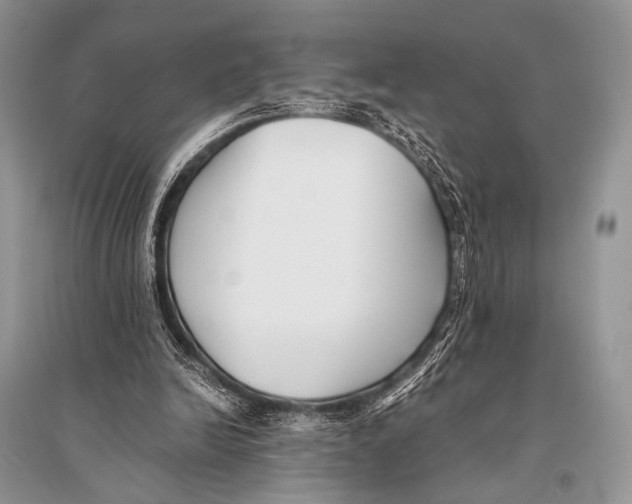 X0000094910246200712201204