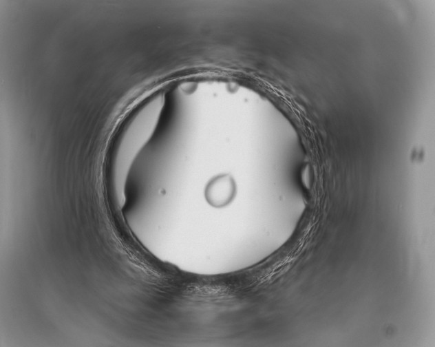 X0000094910247200712201204