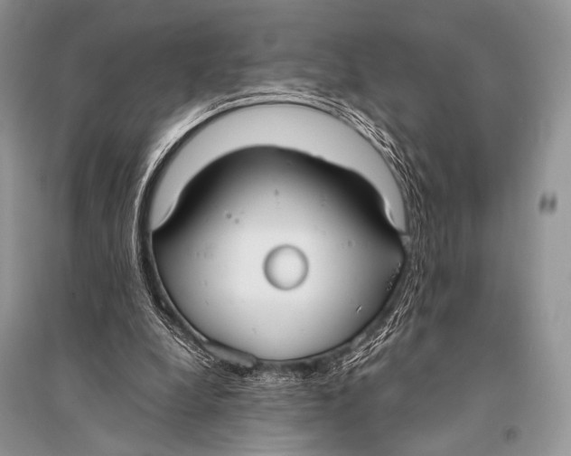 X0000094910248200712201204