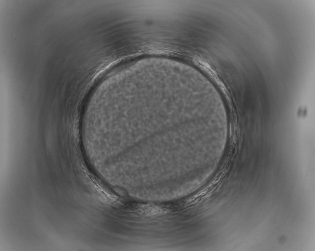 X0000094910249200712201204