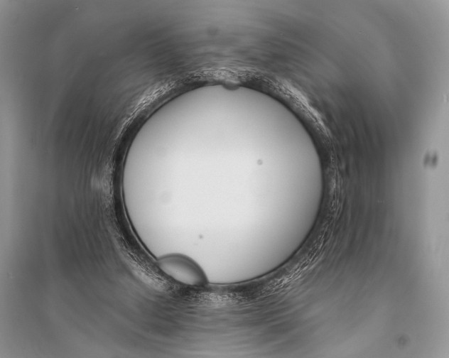 X0000094910250200712201204