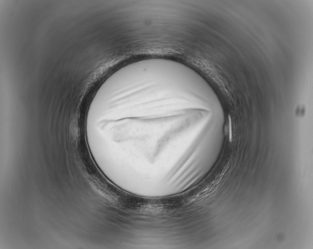 X0000094910252200712201204