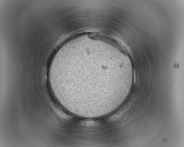 X0000094910253200712201204