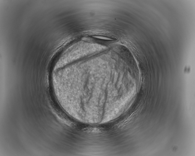 X0000094910254200712201204