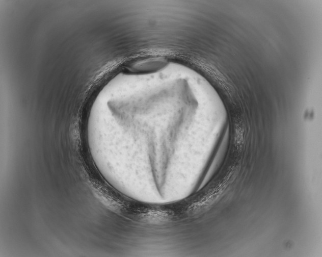 X0000094910256200712201204