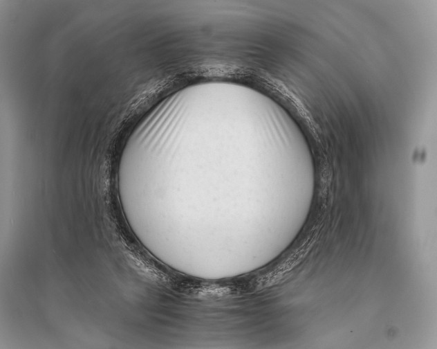 X0000094910257200712201204