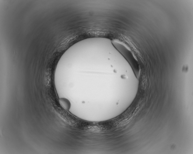 X0000094910259200712201204