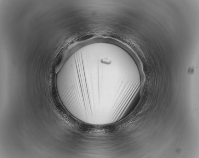 X0000094910260200712201204