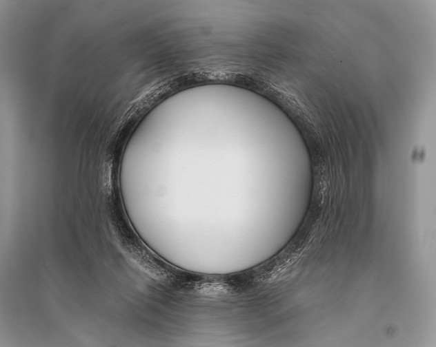 X0000094910262200712201204