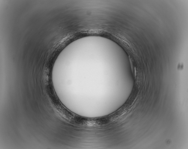 X0000094910264200712201204