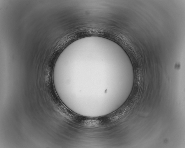 X0000094910266200712201204