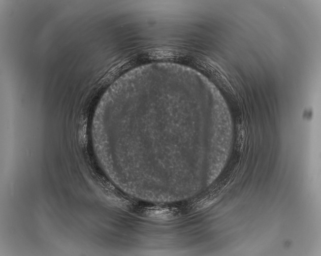 X0000094910267200712201204