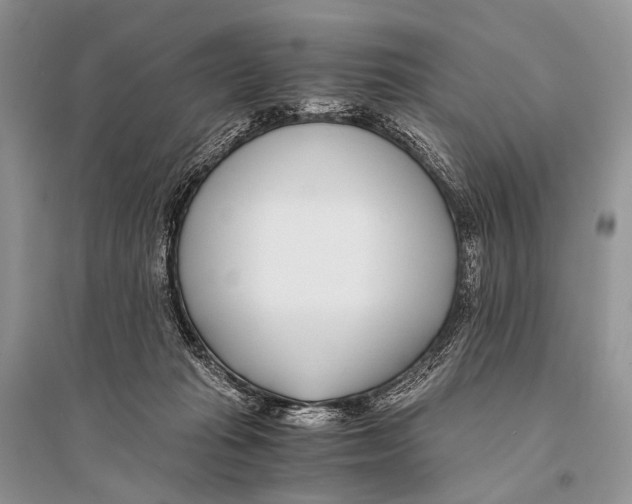 X0000094910269200712201204