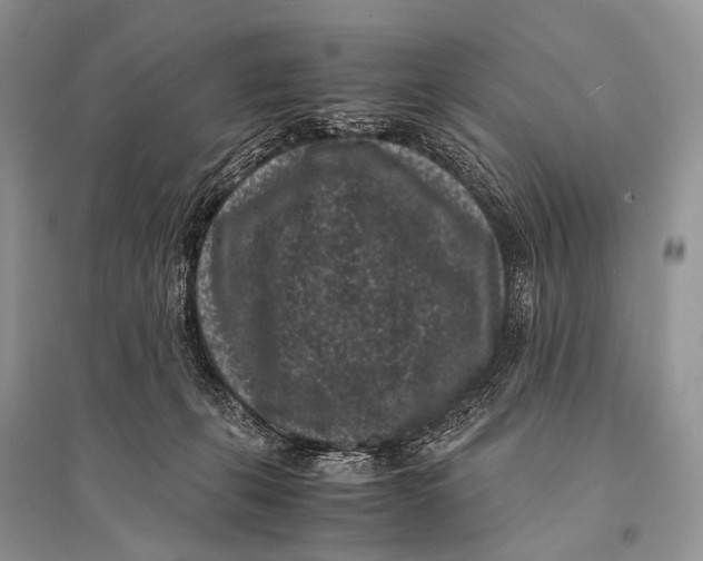 X0000094910271200712201204