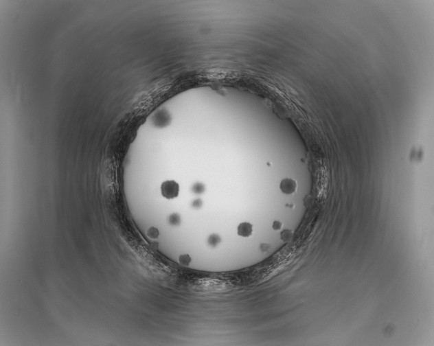 X0000094910272200712201204