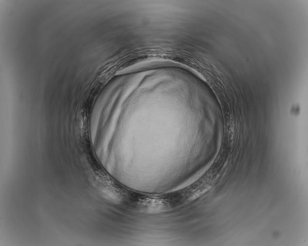 X0000094910276200712201204