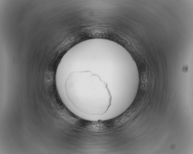 X0000094910278200712201204