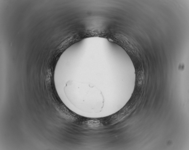 X0000094910279200712201204