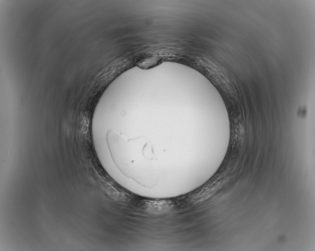 X0000094910281200712201204