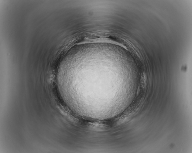 X0000094910284200712201204