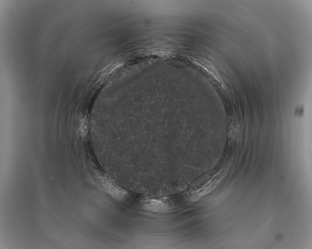 X0000094910285200712201204