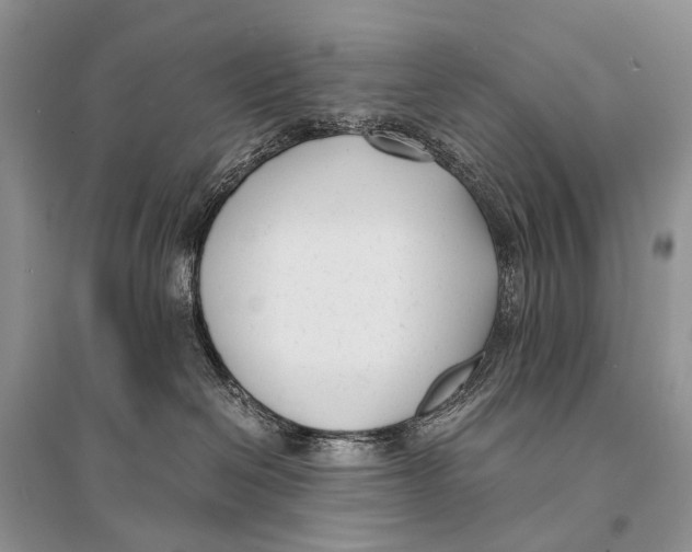 X0000094910286200712201204