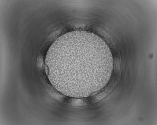 X0000094910287200712201204