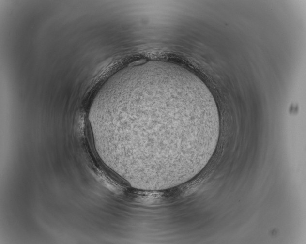 X0000094910288200712201204