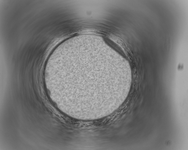 X0000094910289200712201204