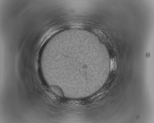 X0000094910291200712201204