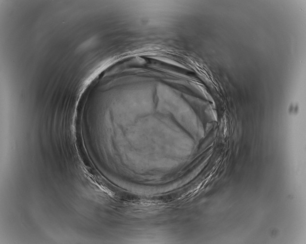 X0000094910292200712201204