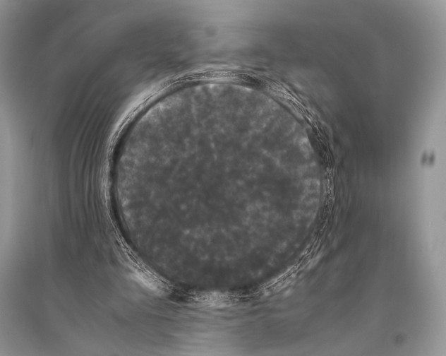 X0000094910293200712201204