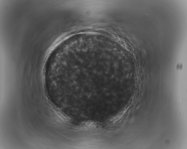 X0000094910295200712201204