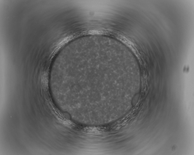 X0000094910297200712201203