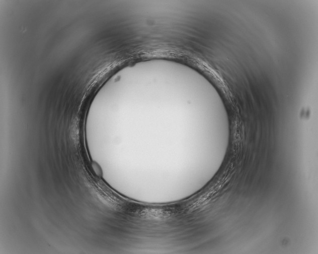 X0000094910298200712201203