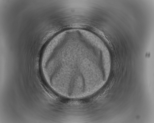 X0000094910299200712201203