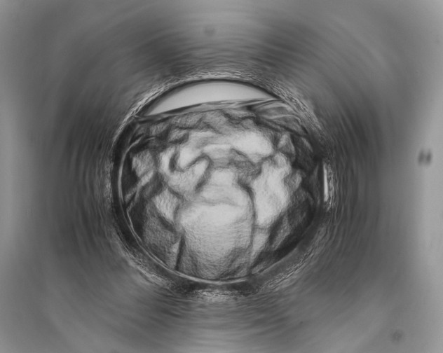 X0000094910300200712201203